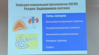 Часть 2. • Кальцийрегулирующие, Сахаррегулирующие гормоны. • Физиология надпочечников. • Стресс