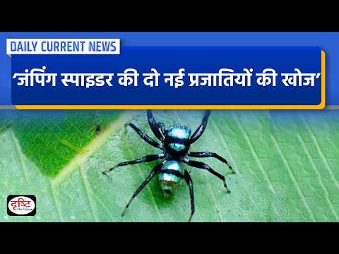 Two jumping Spider Species Discovered | Drishti IAS