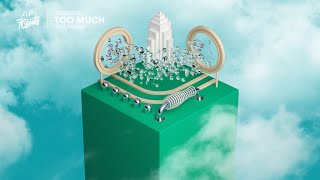 CPYRGHT - Too Much (feat. Akacia)