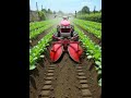 Smart Farming Machine 🌱🚜 | Walk-Behind Cultivator in Action #shorts