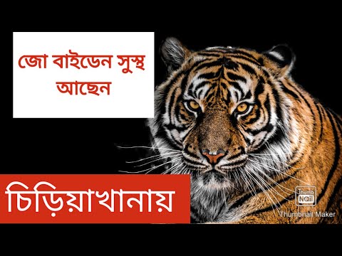 ভিডিও: সাইবেরিয়ার রাজপুত্র