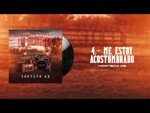 Me Estoy Acostumbrado - Norteño GB (Visualizer)