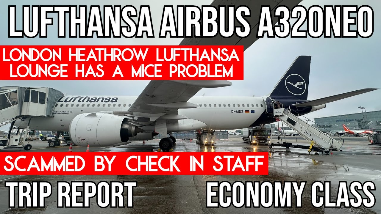 [TRIP REPORT] Lufthansa Airbus A320neo (ECONOMY) London Heathrow (LHR) - Frankfurt (FRA)