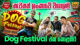 ලංකාව හොල්ලන ලොකුම Festival එකට මෙදාපාරත් සූදානම් | SL's Largest Dog Festival @srilankanfestival by Pet Talk 2,739 views 3 weeks ago 12 minutes, 26 seconds