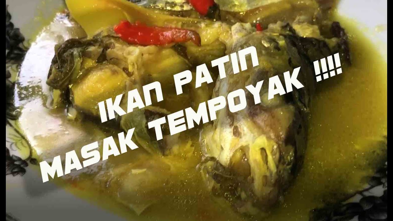 IKAN PATIN MASAK TEMPOYAK DARI TOK MEK