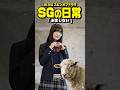 『おまじない』SGAWスピンオフドラマ #sgaw #コント