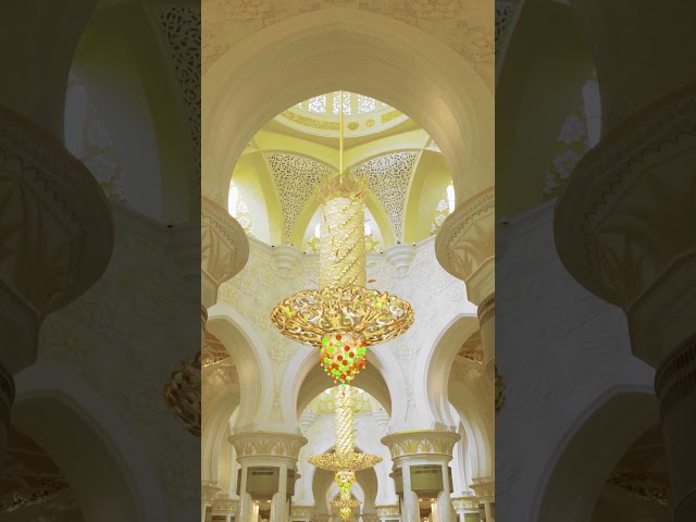 মালিক তুমি জান্নাতে | Malik Tumi Jannate | ওবায়দুল্লাহ তারেক | Best Short Song