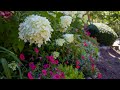 Front Of House Gardening