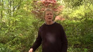 David Thomas: Sonic Boom Audio - The Chemistry Lesson