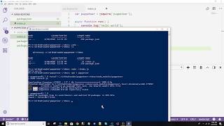 Puppeteer Series Part 1 : Setup