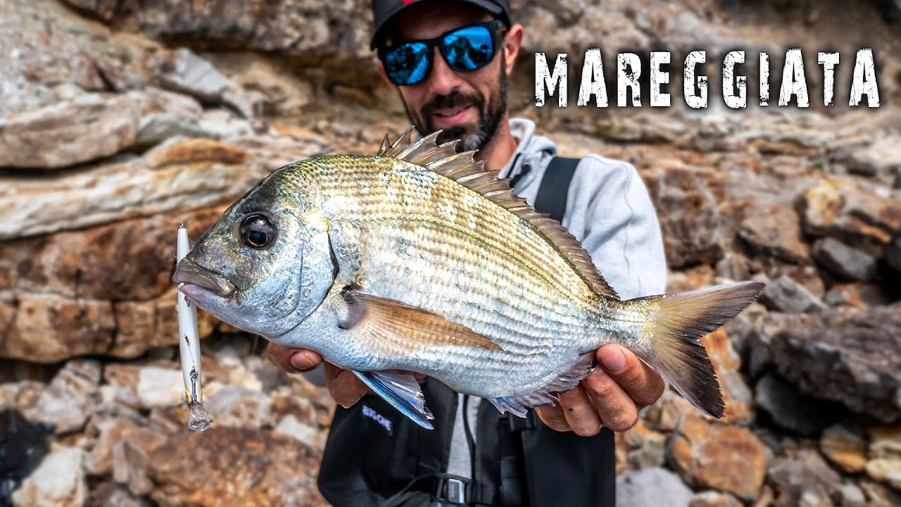 Una MAREGGIATA ricchissima di pesce - ft. CALDIA LT