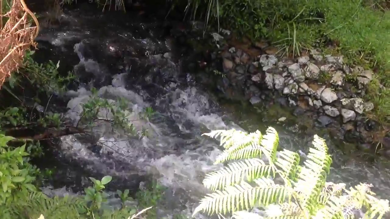 Bridal Veil Falls Near Hamilton New Zealand 1 YouTube