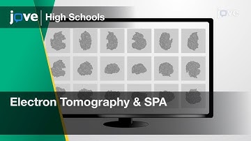 Electron Microscope Tomography and Single-particle Reconstruction | Cell Bio | Video - Preview