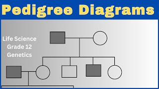 Pedigree Diagram | Genetics | Life Sciences grade 12