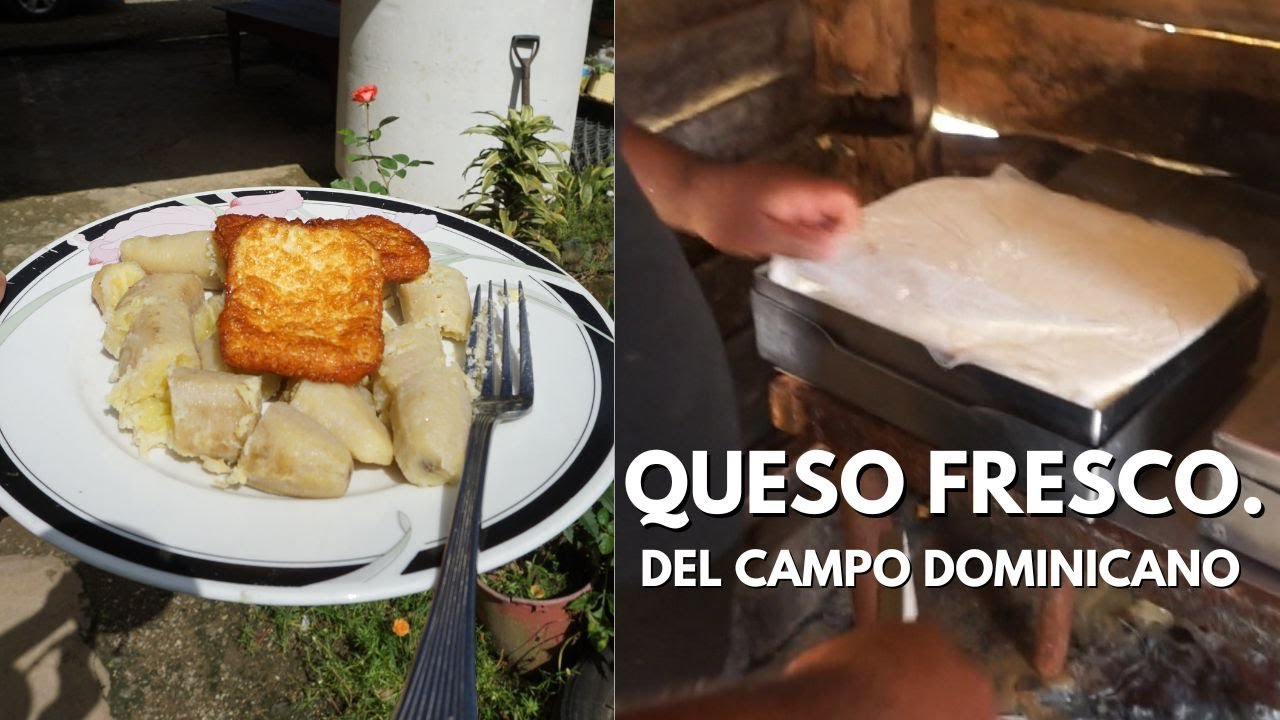 Como hacer QUESO BLANCO de freír en el CAMPO DOMINICANO