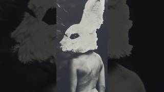 The White Rabbit