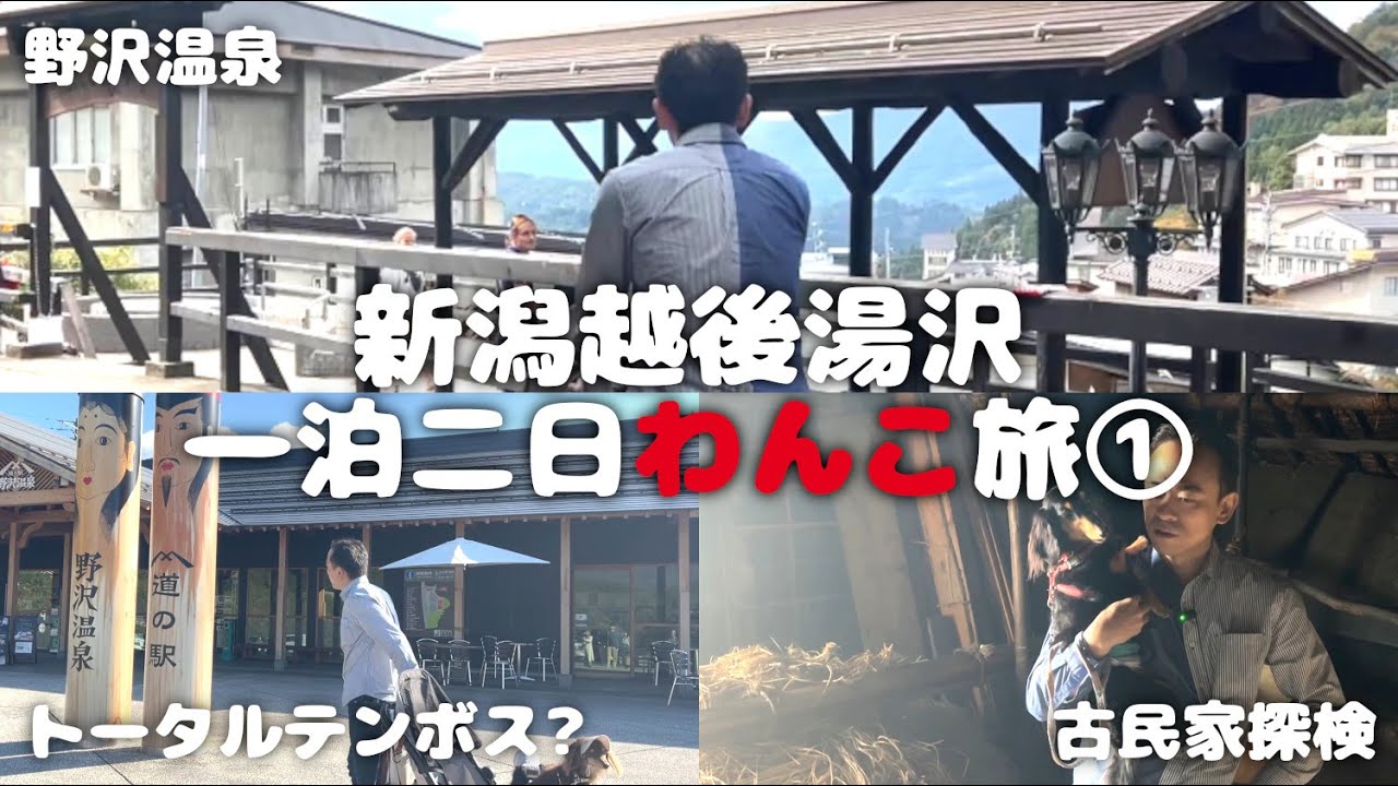 【犬連れ旅行新潟越後湯沢観光】長野県野沢温泉観光♨古民家探検してきたよ～🏠1泊2日わんこ旅1/3 2023.10