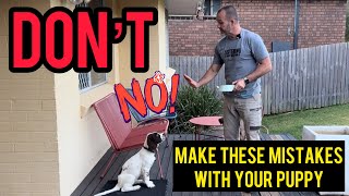 Don’t make these mistakes with your puppy