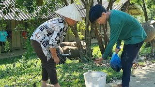 Harvested a lot of crabs and snails, the first time they sold out within 2 minutes