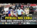 NEW FIGHT 6W 0L Batang Pitbull Champion Sa WBO Angelus Pilapil Vs Dae San Yoon 