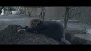 Luka - Trailer - Stockholm International Film Festival 2016