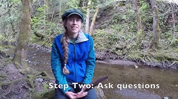 I Notice, I Wonder, It Reminds Me Of