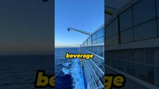 Famous Tips for FIRST time cruisers! Net Worth