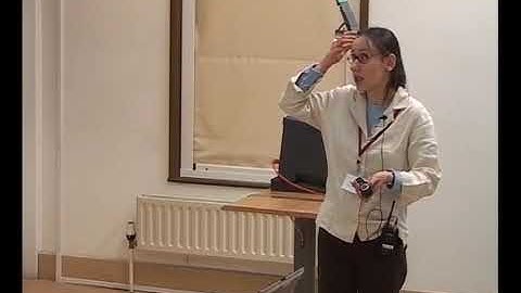 Prof. Silke Rolles | Edge-reinforced random walk on a two-dimensional graph