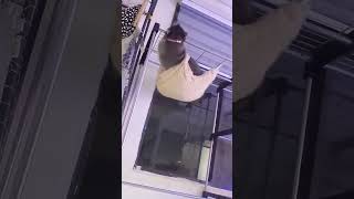 Rac Is Too Fat To Climb And Is Mad