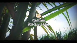 Download Lagu Hijau Bumiku Indah Gunung Maduku ||  PT GUNUNG MADU PLANTATIONS 2022 MP3