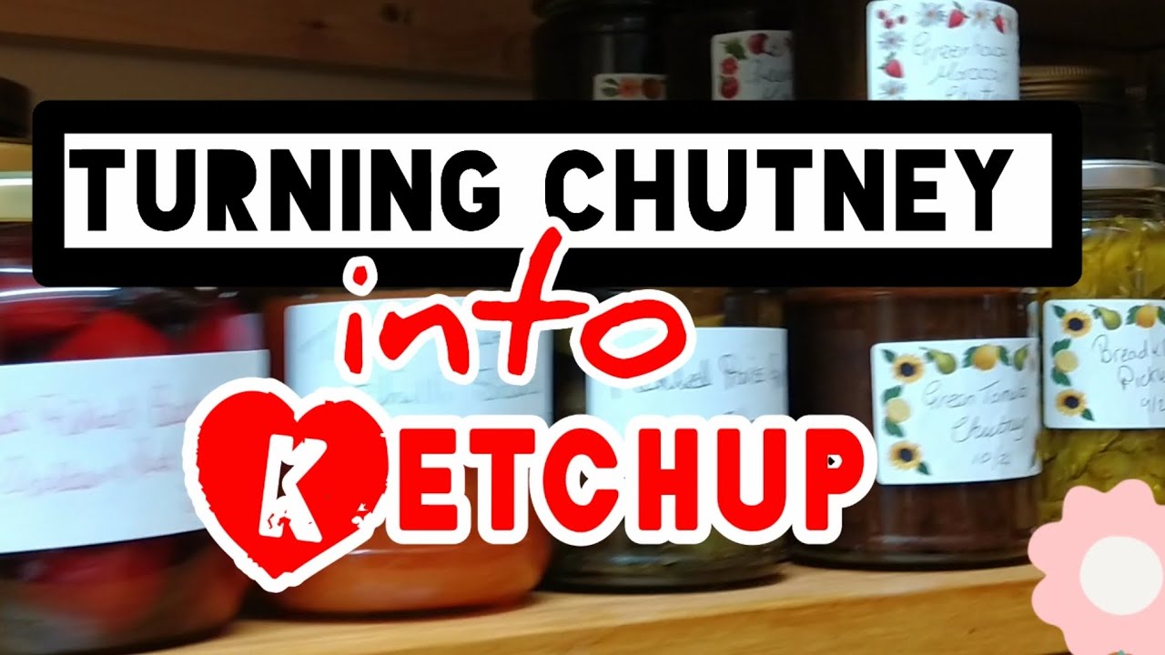 EASY DIY KETCHUP 🍅 Pantry CLEAN UP #preserving #canning – Instant Pot ...