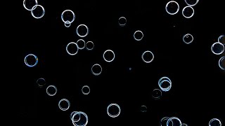 Rim or darkfield lighting photographing bubbles. screenshot 3