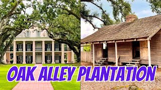 Journey Through Time: Discover the Dual World of Plantations
