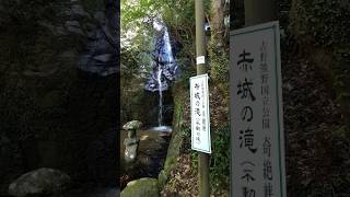たき - YouTube