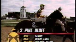 Arazi - 1991 Breeders Cup Juvenile (Pre Race)