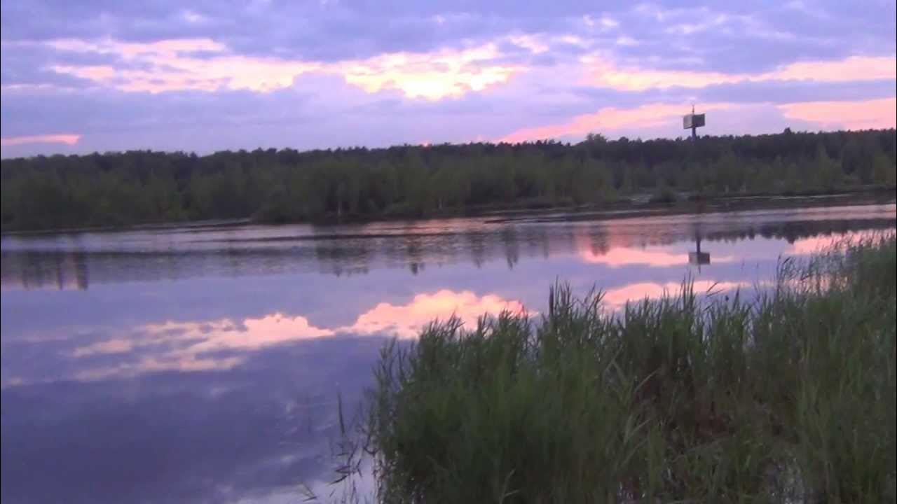 Медвежьи озера рыбалка. Малое озеро Медвежьи озера. Медвежьи озёра Московская область рыбалка. Медвежьи озёра (деревня). Большое Медвежье озеро Рязанская область.