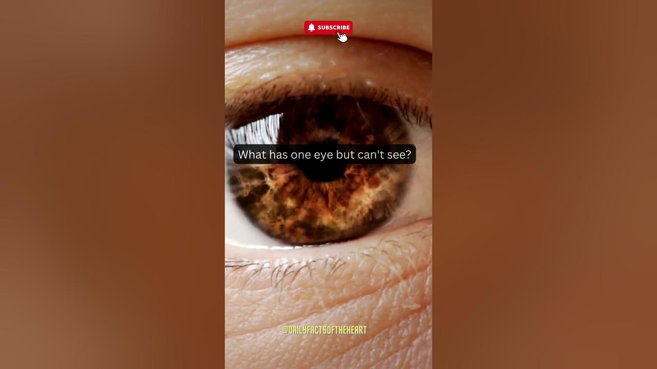 What has one eye but can t see shorts riddle daily foryou 