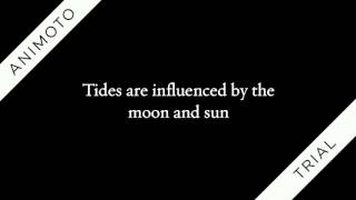 Tidal Cycles