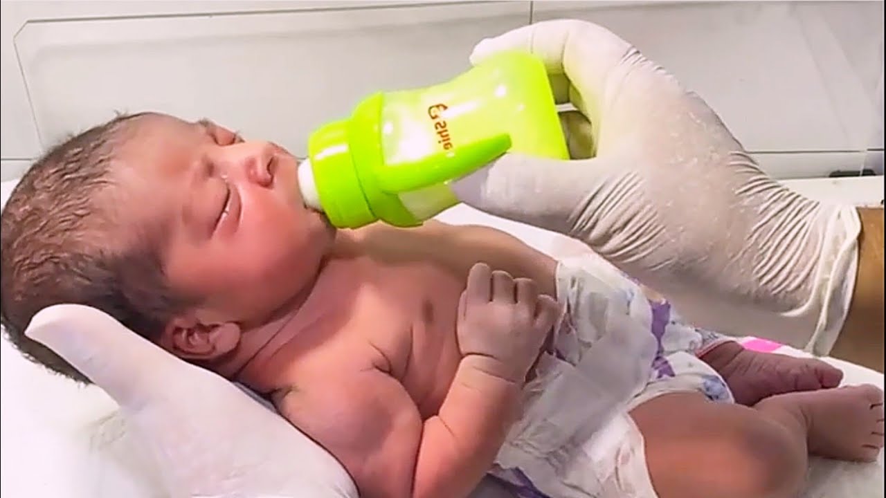 Cutest Newborn Babies Bottle Feeding Moments That Melt Hearts Part 85 #newbornbaby #newborncare
