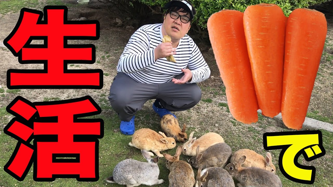 2 nights and 3 days of only being able to eat carrots on Rabbit