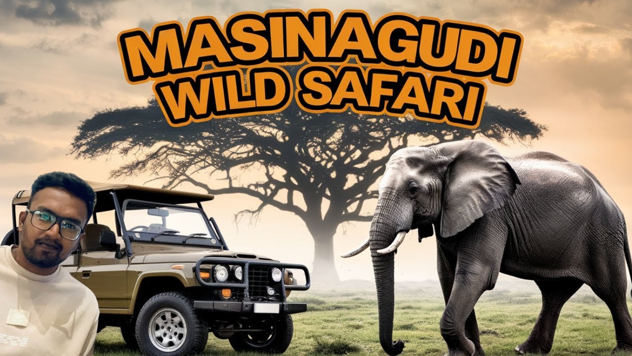 Masinagudi Tourist Place |Elephant encounter  | Mayar | Singara | Forest Safari
