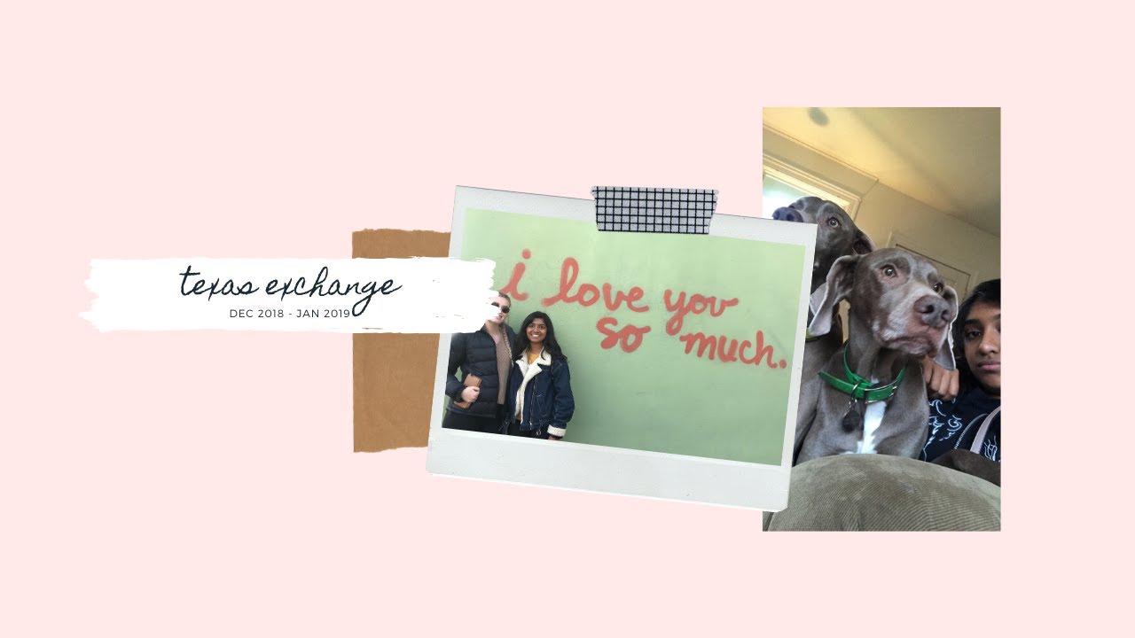 texas exchange 20182019 YouTube
