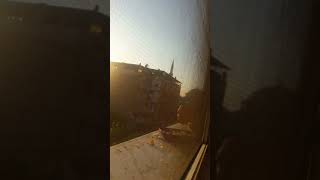 Günlük Işler-Bir Kap Su Bir Kap Mama Hayat Sevince Güzel