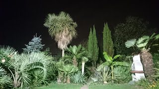 😍 Our self-created paradise - 🇬🇧 UK tropical garden 🌴 at night time 🌃 by UNIQUE LIFE DESIGN 150 views 7 months ago 10 minutes, 47 seconds