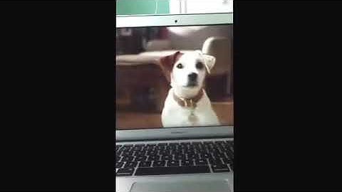 Closing to Kids for Character: Choices Count! 1997 VHS