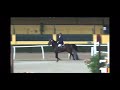 Alfonso y Comma FINAL del Campeonato de España de Veteranos 15 11 20 1,10m