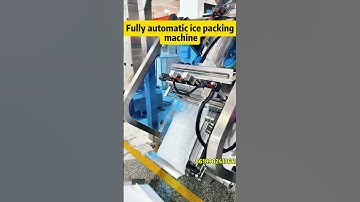 fully automatic ice cube packing machine #icepackagingmachine