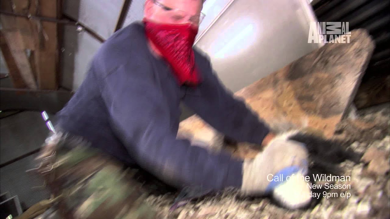 clips for crocs Call of the Wildman: NEW SEASON Sunday at 9PM EP