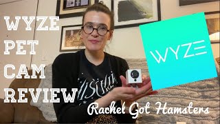 WYZE PET CAM REVIEW // How I Spy On My Hamster At Night! 🐹