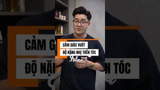 Kevin Rough Rider và Night Rider Sự Khác Biệt Thú Vị